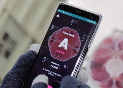 日本开发鲔鱼肉质判断App，用手机拍摄照片判断精确度媲美专业人员